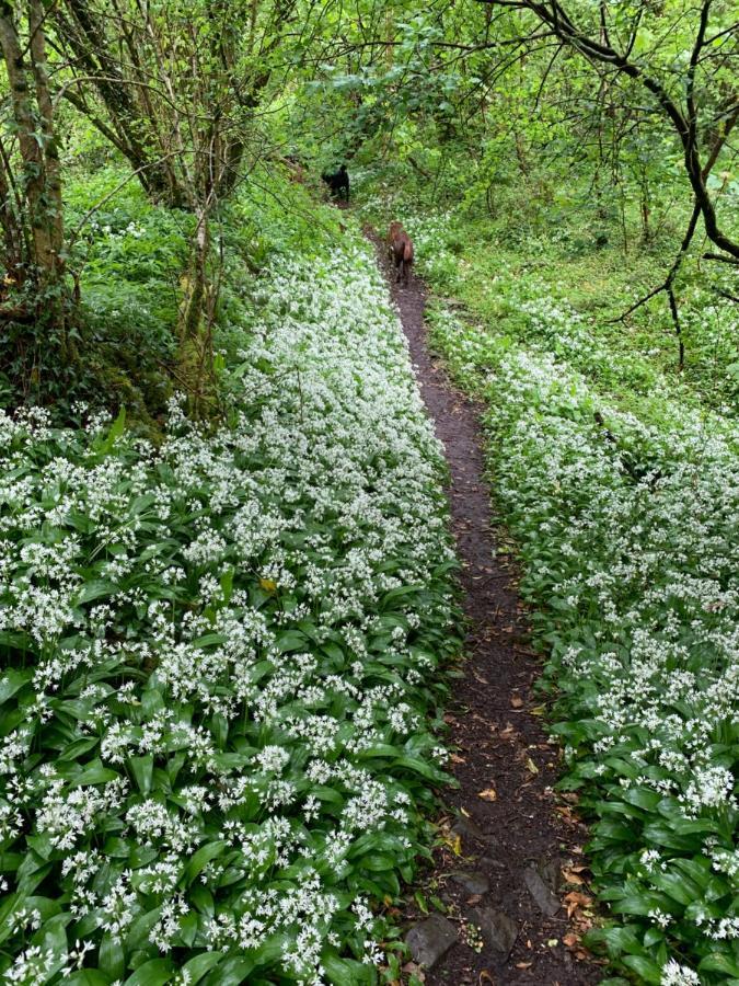 란디비 Kabin In The Woods 빌라 외부 사진