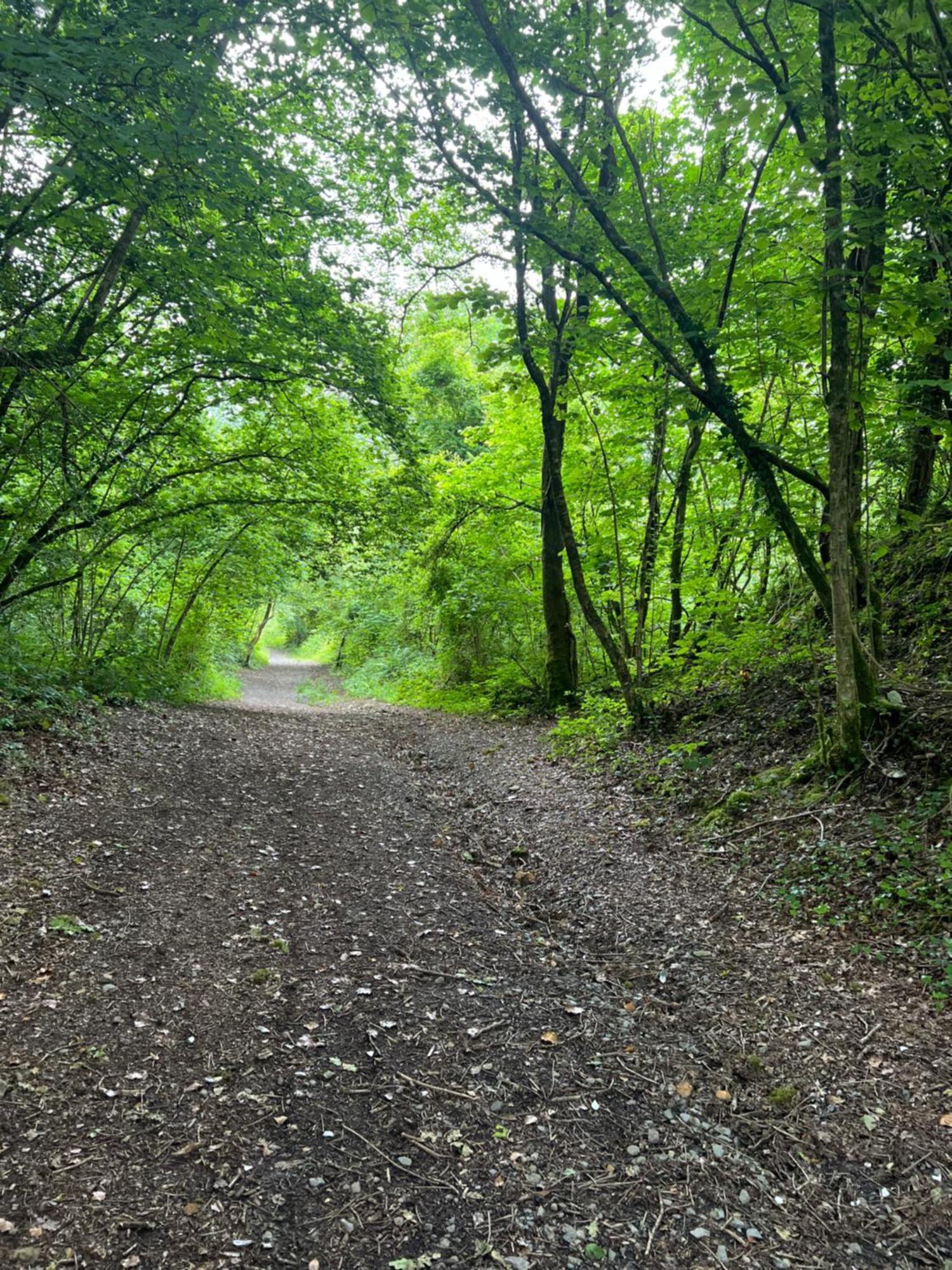 Kabin In The Woods 란디비 외부 사진